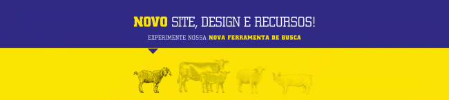 NOVO SITE, DESIGN E RECURSOS!