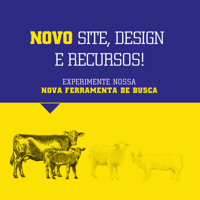 NOVO SITE, DESIGN E RECURSOS!