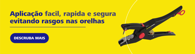 ZTAGS Brazil Portuguese desktop banner Oct26